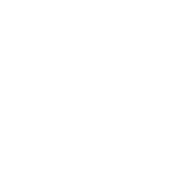 برنامج التأسيس الفردي